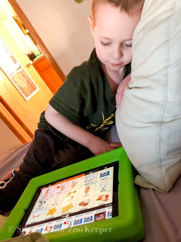speech assistive device proloquo2go