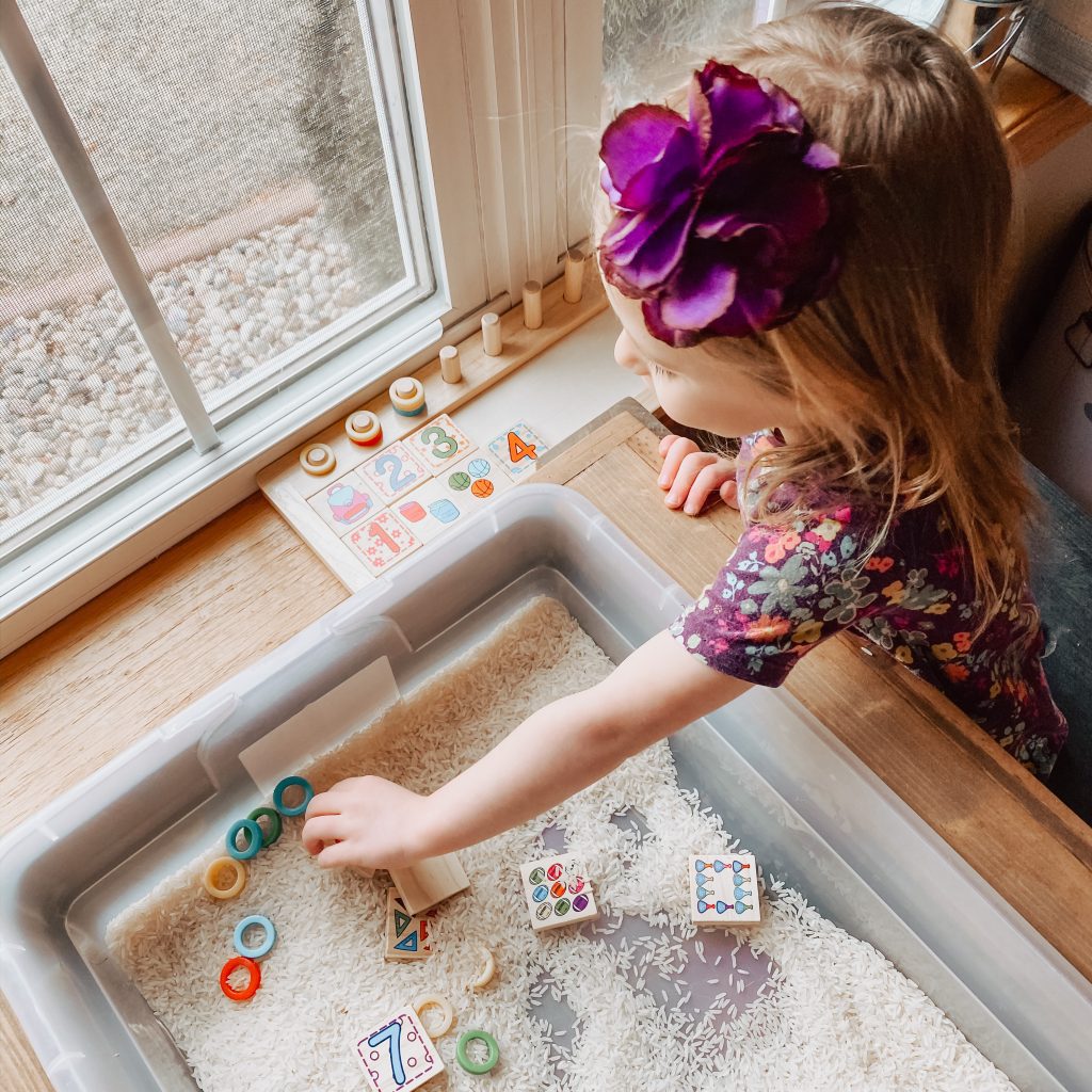 Sensory Search