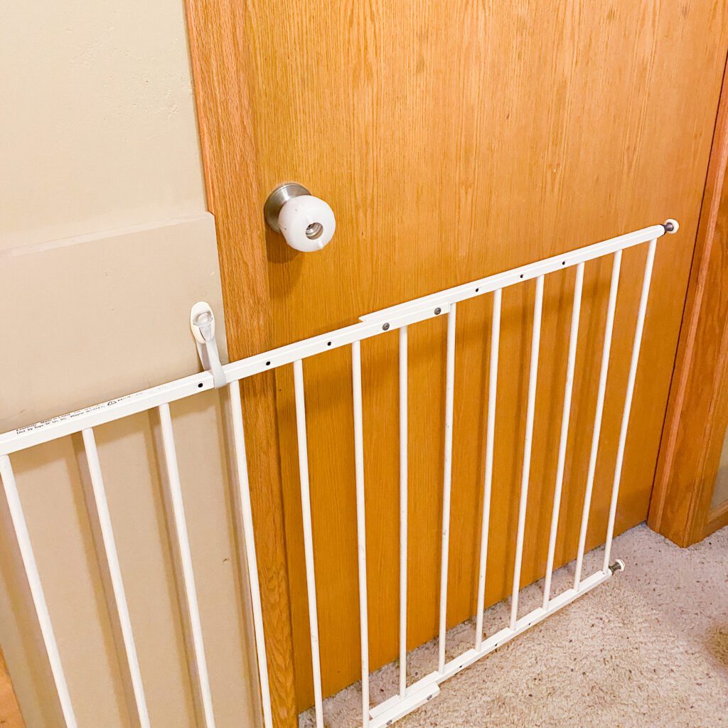 Toddler Autism safety